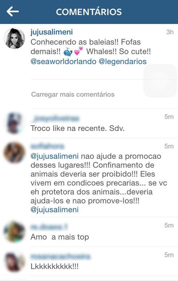 Seguidores comentam foto de Juju Salimeni no Sea World (Foto: Instagram / Reprodução)