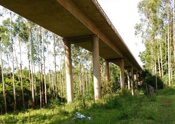 Motociclista sofreu queda na margem catarinense do Rio Uruguai (Foto: PM/Divulgação)