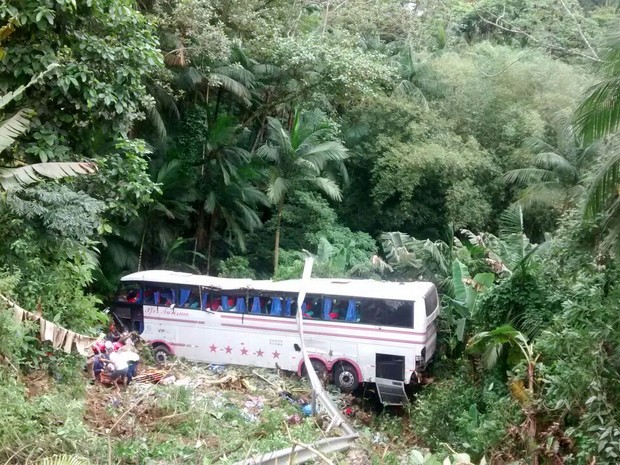 Ônibus que vinha de Foz do Iguaçu (PR) caiu em ribanceira (Foto: PRF/Divulgação)