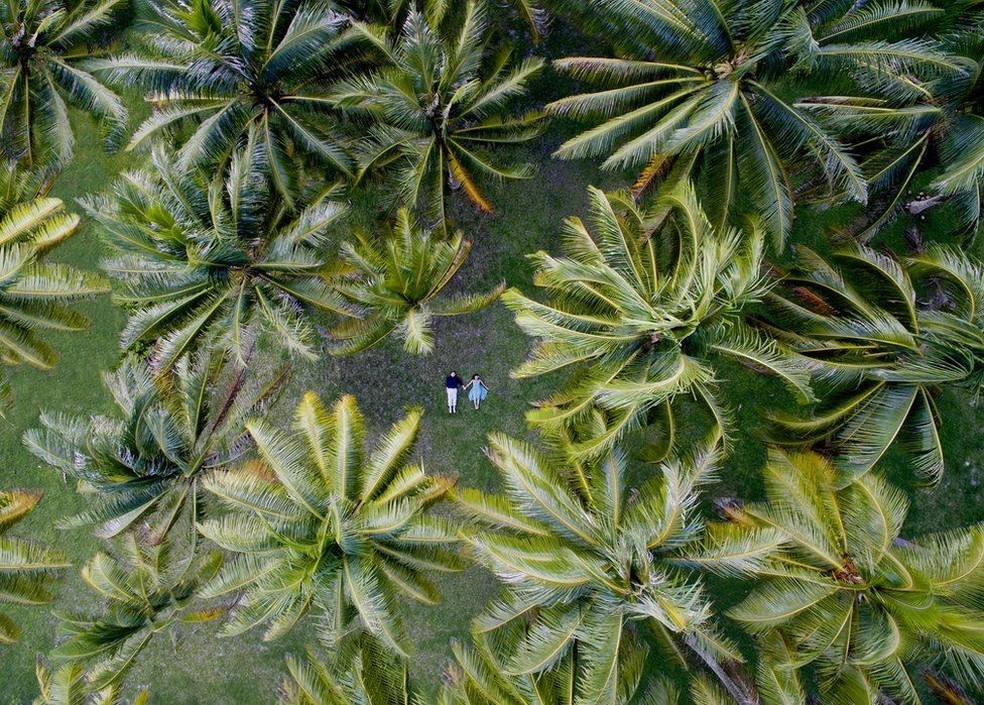 No meio de palmeiras balançando com o vento, o drone captou a imagem de um casal deitado de mãos dadas no gramado da ilha de Huahine, na Polinésia Francesa. (Foto: Helene Havard)