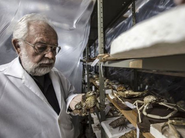 Professor utiliza taxidermia como instrumento de educação ambiental no norte do Paraná  (Foto: Sergio Ranalli)