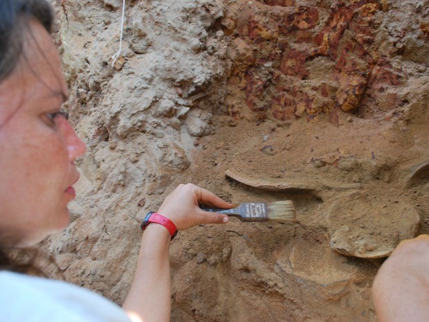 Pesquisadores realizam escavações no sítio arqueológico do Jauari (Foto: Digulgação/Iphan-AM)