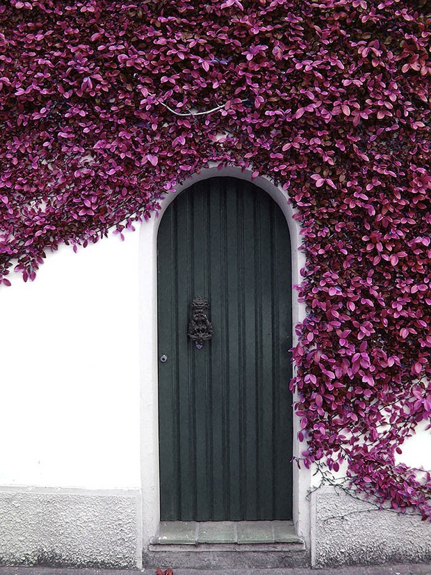 Portas maravilhosas (Foto: reprodução)