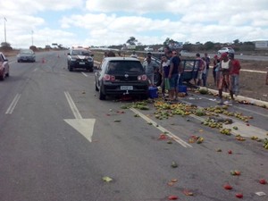 Vítimas foram atingidas enquanto recolhiam frutas na rodovia (Foto: Divulgação/PRF)