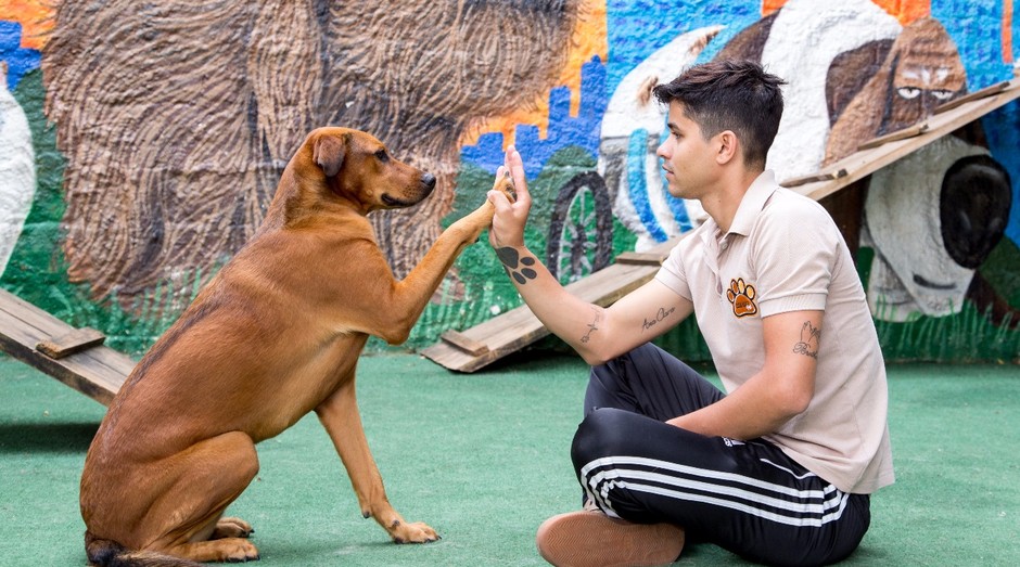 Cleber Santos é adestrador de cães e hoje atende famosos como Alok e Adriane Galisteu (Foto: Divulgação)