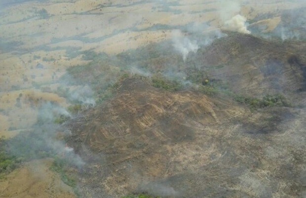 Bombeiros combatem incêndio no Parque da Serra Dourada, em Goiás (Foto: Divulgação/Corpo de Bombeiros)
