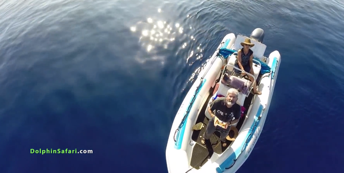 Cientista controla drone de um pequeno bote em alto mar  (Foto: Reprodução/Dolphin Safari)