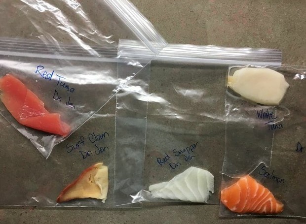 Amostras de sashimi coletadas pela professora e seus alunos (Foto: Twitter/ Reprodução)
