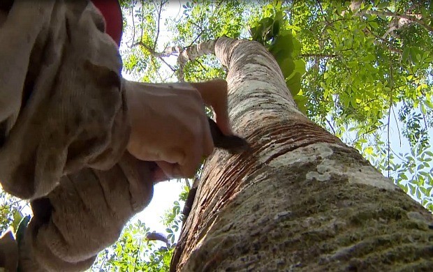 Série da TV Amazonas conta a história do apogeu e queda da Borracha na Amazônia (Foto: Reprodução/TV Amazonas)