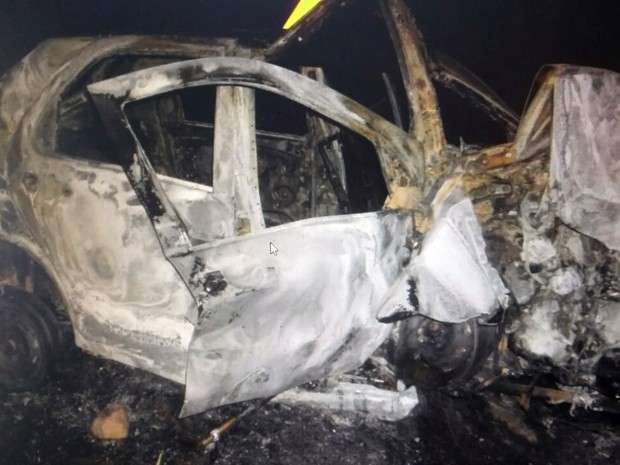 Homem morreu após carro bater em árvore e pegar fogo na BR-354, perto de Pouso Alto, MG (Foto: Polícia Rodoviária Federal)