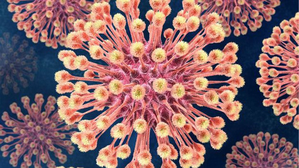 Vírus são um exemplo clássico da dificuldade de estabelecer algo como 