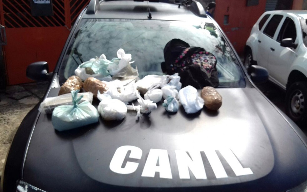 Drogas encontradas embaixo de ponte em Cosmópolis (Foto: Divulgação/Guarda Municipal)