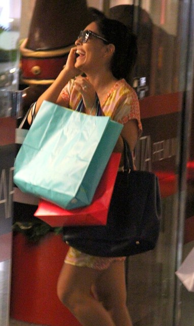 Juliana Paes faz compras em shopping do Rio (Foto: Marcus Pavão / AgNews)