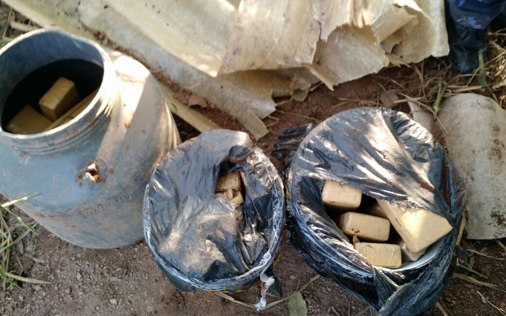 Maconha estava enterrada dentro de baldes e barril em Piracicaba (Foto: Dise)