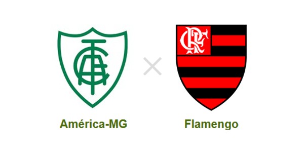 América-MG e Flamengo se enfrentam nesta reta final do Brasileirão (Foto: Reprodução)