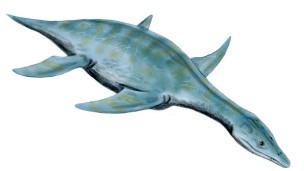 Espécie de répteis teria parentesco com o réptil aquático Leptoceidus Capensis (Foto: BBC)