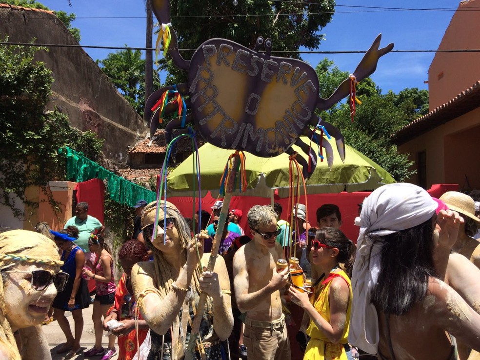 Preservação ambiental é o lema do bloco, que saiu em Olinda, neste domingo (26) (Foto: Lorena Andrade/ G1 )