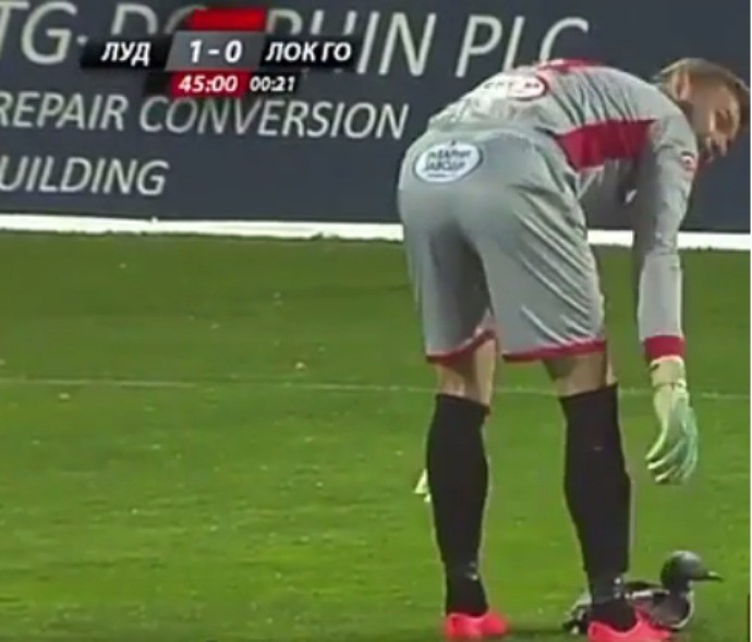 BLOG: Pato pousa no gramado e interrompe jogo do Ludogorets no Campeonato Búlgaro