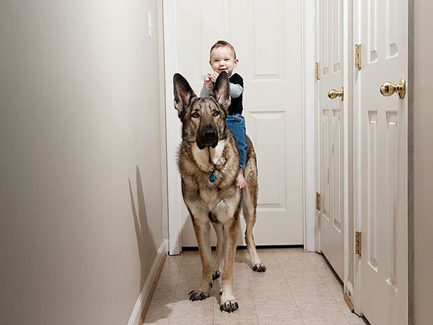 bebês e cachorros gigantes (Foto: reprodução)
