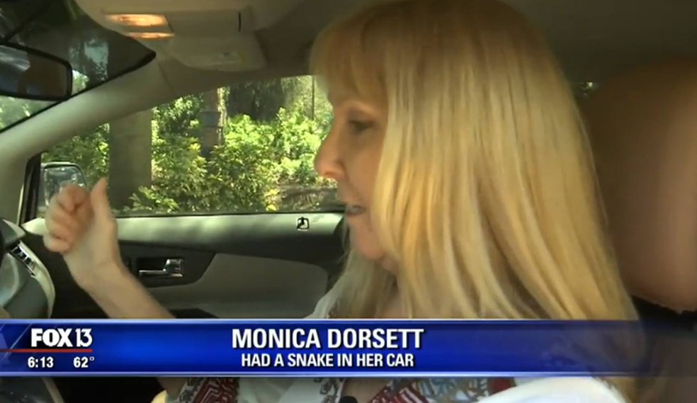 Monica Dorsett afirmou que quase bateu o carro ao se assustar com o réptil. (Foto: Reprodução/Fox 13)