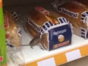 Rato foi visto roendo embalagem e comendo pão em Carrefour de Manaus (Foto: Reprodução/Denilson Novo)