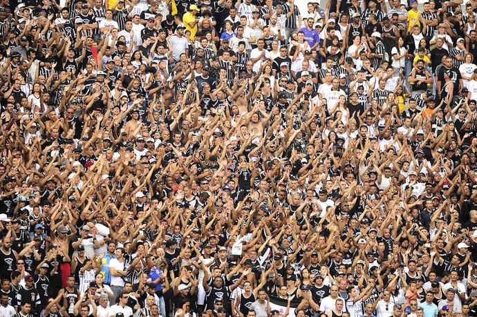 Majestoso: 37 mil ingressos estão reservados, e arena pode ter recorde 