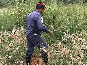 Bombeiros agem no combate ao Aedes em Ituiutaba (Foto: Reprodução/TV Integração)