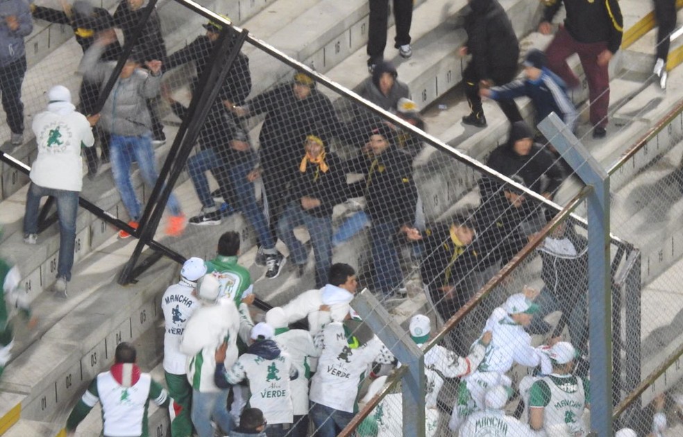Torcedores de Peñarol e Palmeiras brigam na arquibancada após a partida (Foto: Felipe Zito)