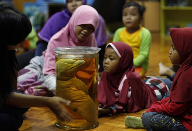 Grupo de crianças em Jacarta, na Indonésia, participam de palestra com guia turístico em um resort, que usa um filhote de golfinho preservado em recipiente  (Foto: Beawiharta/Reuters)