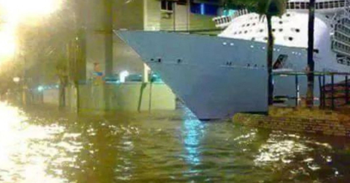 Memes invadem a web após pior chuva dos últimos 36 anos em SP - Globo.com