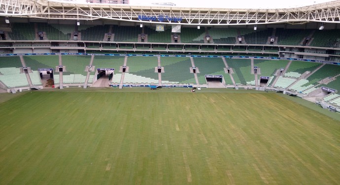 Reforma da arena do Palmeiras entra na 3ª semana: veja foto do gramado