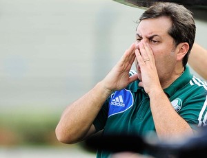 gilson kleina Palmeiras São Caetano série B (Foto: Marcos Ribolli / Globoesporte.com)