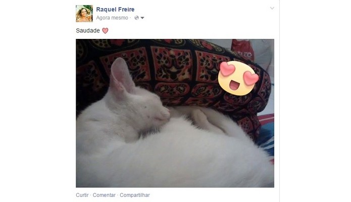 Foto com figurinha postada no Facebook (Foto: Reprodução/ Raquel Freire)