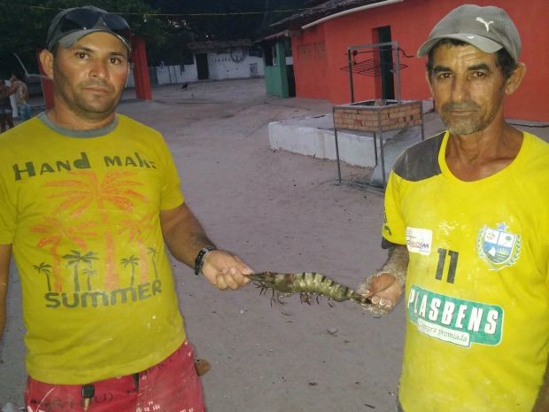 Pescadores acharam inicialmente que pescado era na verdade um peixe. (Foto: Olivardo Vasconcelos/Arquivo pessoal)