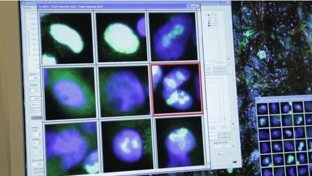 Quantidade de dados compartilhados ainda é pequena. (Foto: BBC)