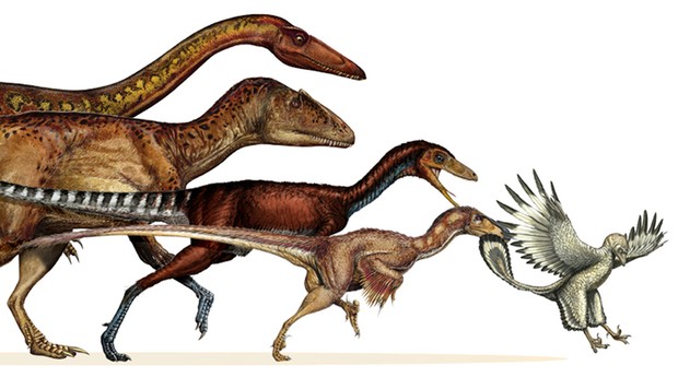 Paleontólogos comprovam: aves vieram dos dinossauros (Foto: Reprodução)