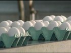 Avicultores de MG estão satisfeitos com o preço pago pelo ovo