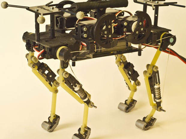 Protótipo do robô felino apresentado pelos cientistas da Escola Politécnica Federal de Lausanne (Foto: Divulgação/EPFL)