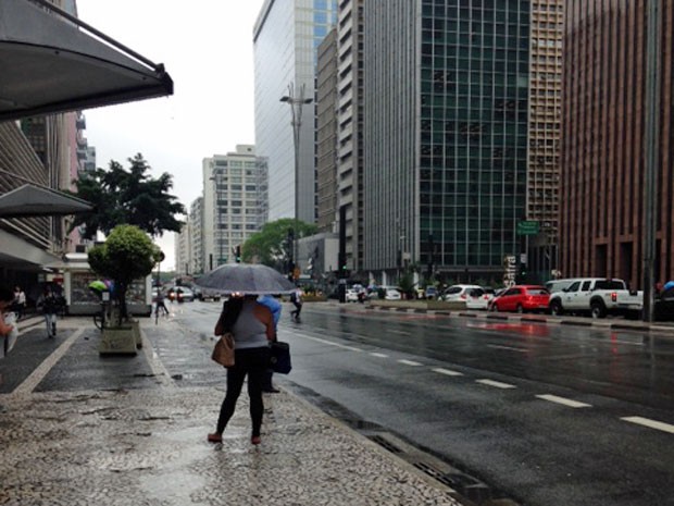 Pedestres se protegem da chuva na Avenida Paulista, em São Paulo (Foto: Olívia Florência/G1)