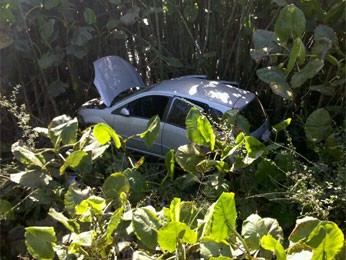 Carro estava caído em córrego na BR-101 (Foto: Kety Marinho / Globo Nordeste)