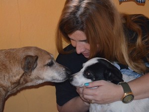 Tutor de cadela agredida por idosa de Cordeirópolis ganha novos amigos (Foto: Fernanda Zanetti/G1)