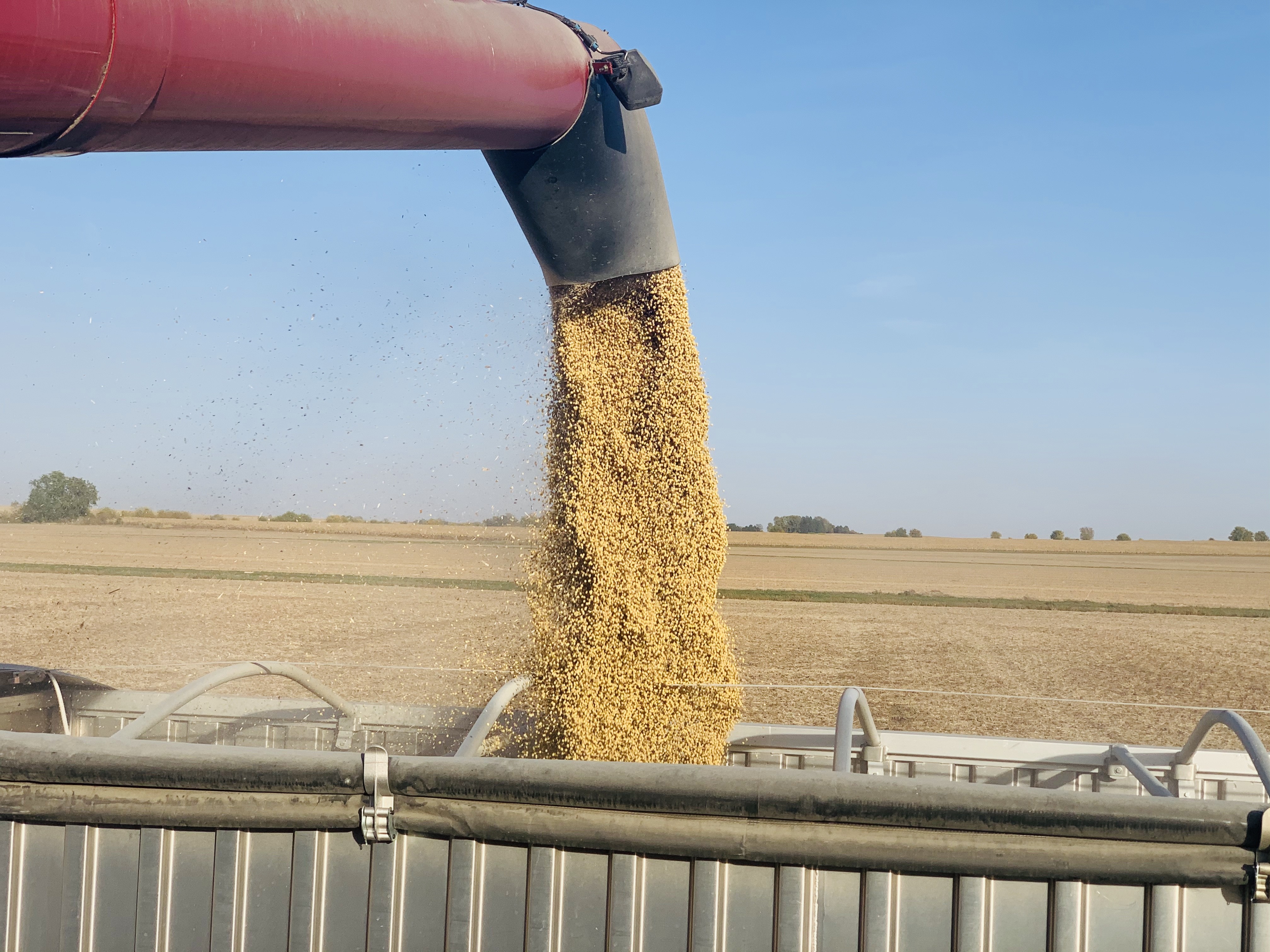 Fim da safra de soja e milho nos EUA (Foto: Joana Colussi/Globo Rural)