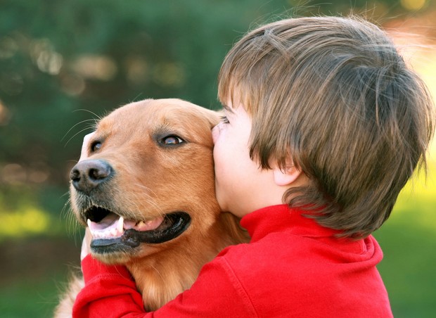 Qual desses animais fofinhos você gostaria de ter como animal de estim