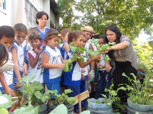 Alunos aprendem sobre plantio e educação ambiental em horta escolar. (Foto: Carolina Sanches/ G1)