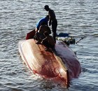 Barco vira e náufragos são salvos no Pará (Comando do 4º Distrito Naval/Divulgação)