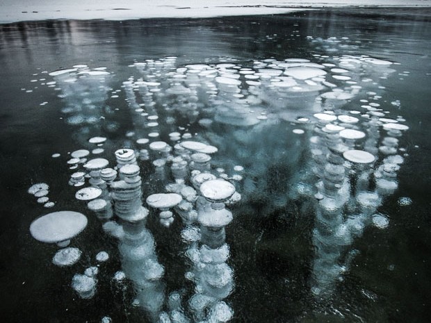 Bolhas de metano lançadas do permafrost ficaram congeladas quando tentavam alcançar a superfície do Lago Vermillion, no Parque Nacional Banff, no Canadá (Foto: Paul Zizka/Caters News)
