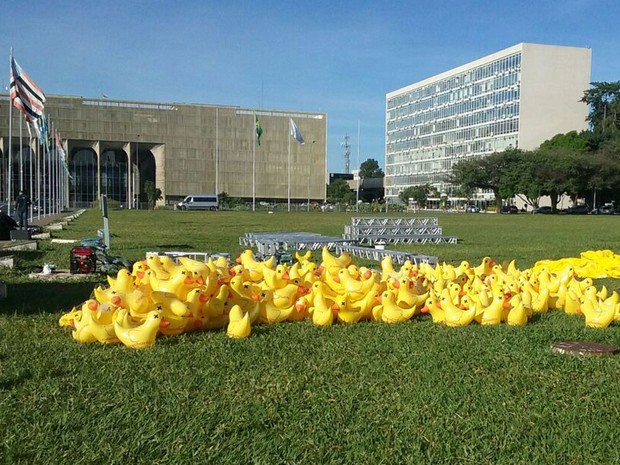 Miniaturas de pato colocados pela Fiesp na Esplanada dos Ministérios (Foto: Beatriz Pataro/G1)