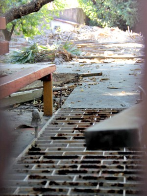 Chácara Flora, no Bairro Benfica, estava em processo de tombamento (Foto: Bruno Gomes/Agência Diário)