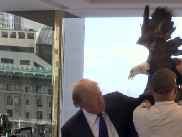 Águia-careca bicou várias vezes o pré-candidato do Partido Republicano à presidência dos EUA Donald Trump (Foto: TIME Magazine/Reuters)