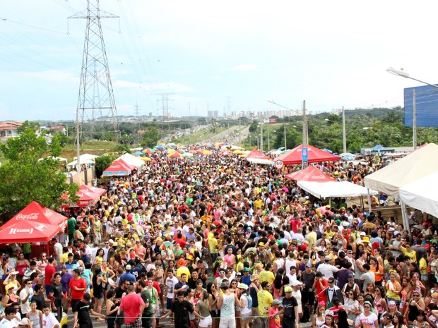 Milhares de foliões animaram a Banda do Galo de Manaus 2014 (Foto: Camila Henriques/G1 AM)